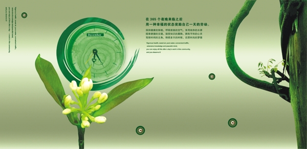 雜志排版