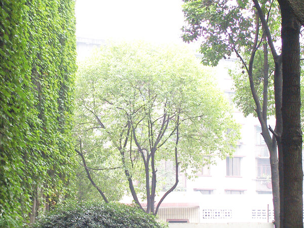 低調(diào)豪華的裝修設(shè)計
