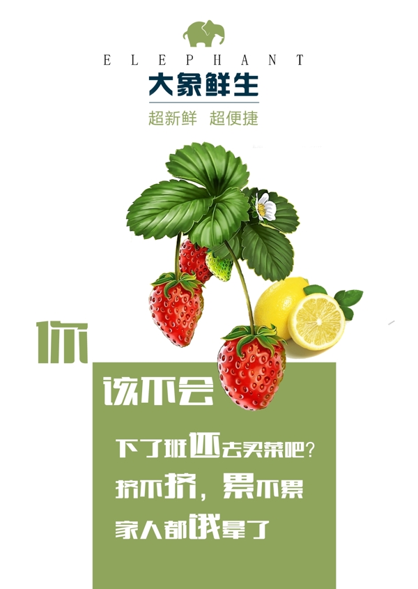 大象鮮生圖片