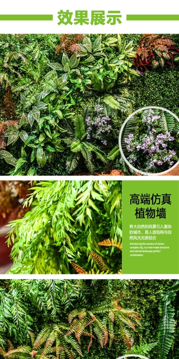 植物墻詳情頁