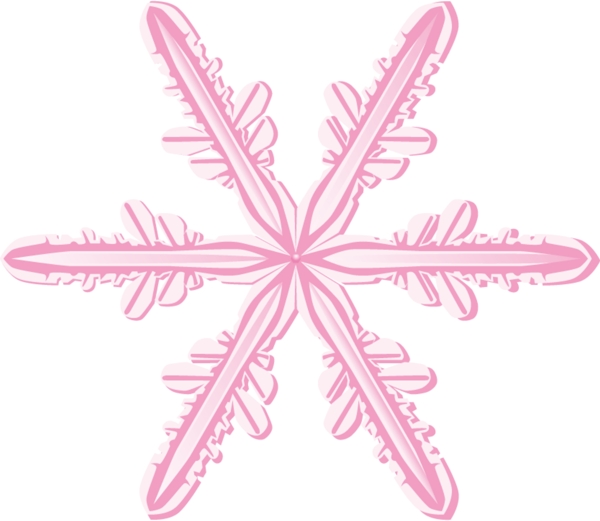 圣誕節(jié)雪花