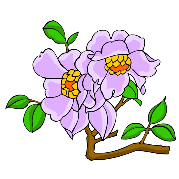 花卉古典插畫