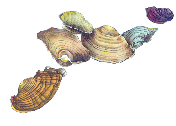 水墨畫中國(guó)風(fēng)魚蔬菜籃子中華藝術(shù)繪畫