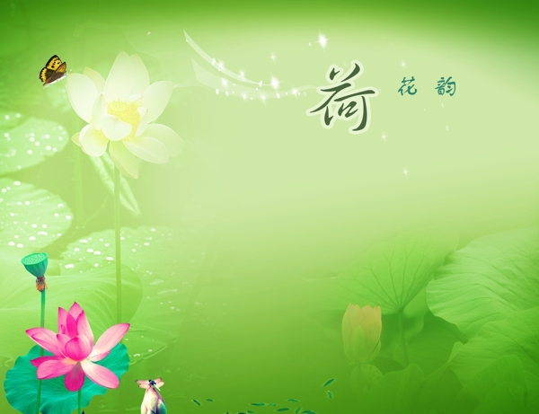 綠色荷花背景圖片