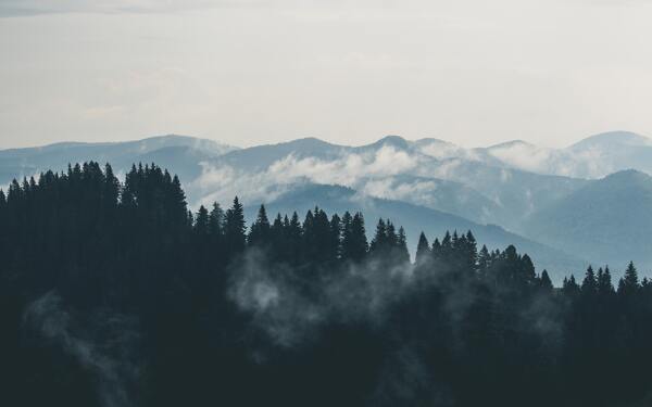 远山森林起雾