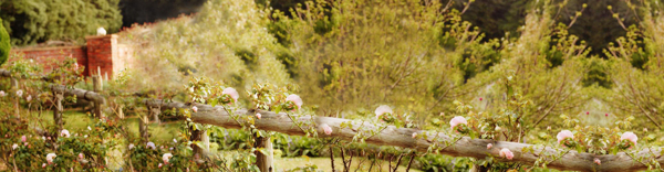 淘寶背景banner