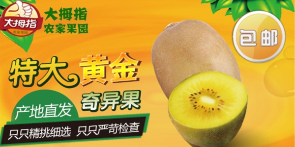 手機(jī)端獼猴桃海報(bào)