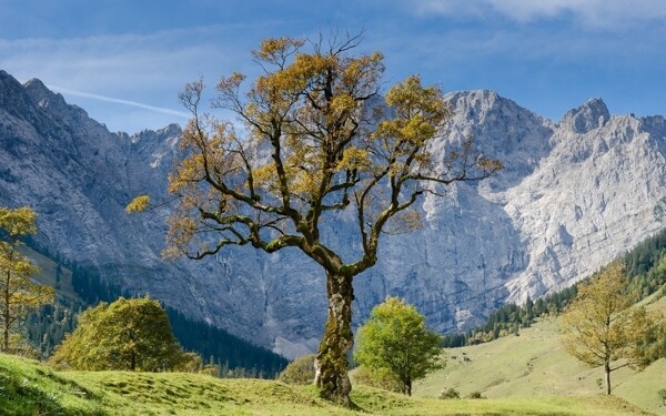 大山美景