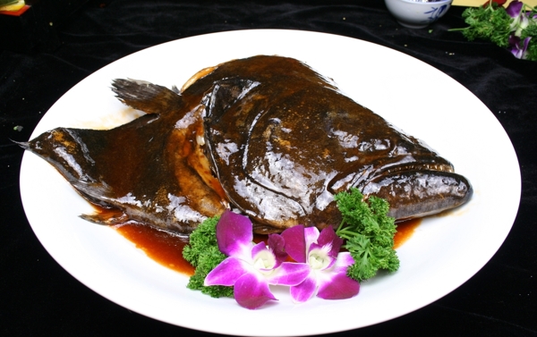 碟魚頭