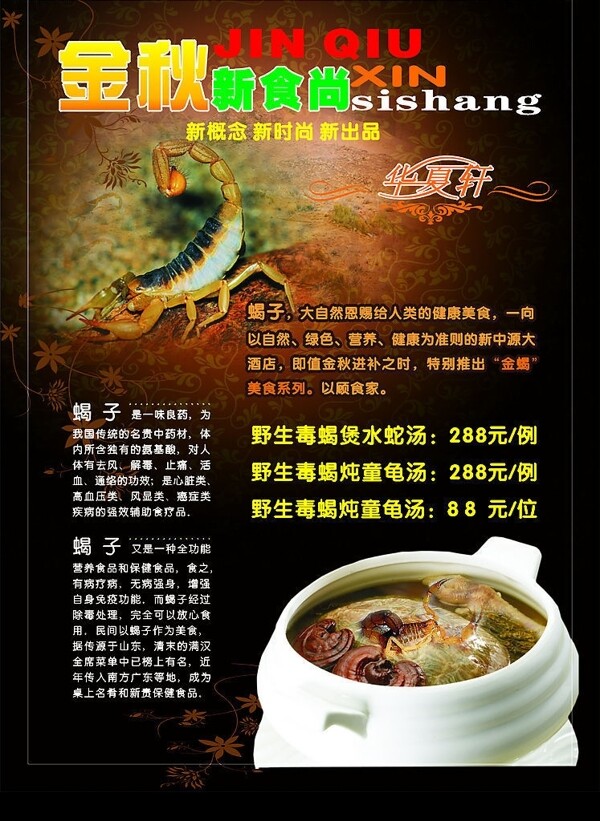 蝎子湯推廣圖片