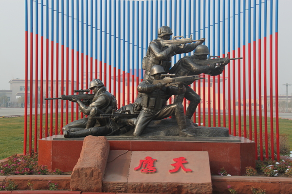 軍人風(fēng)姿圖片