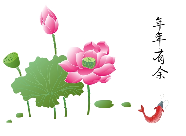 荷花圖片