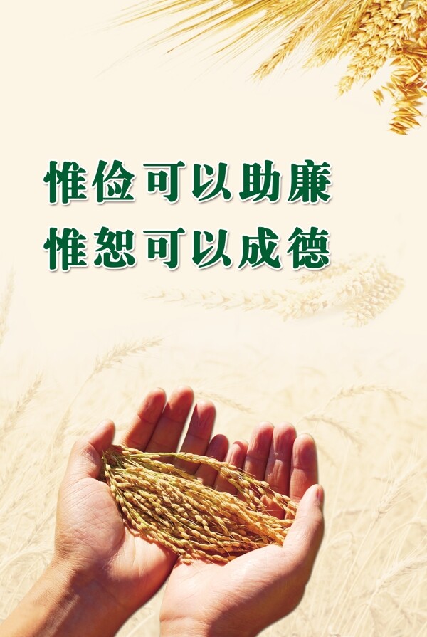 收獲
