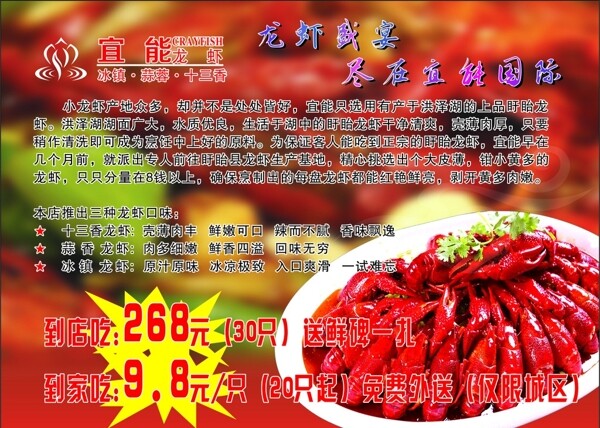 龍蝦介紹圖片
