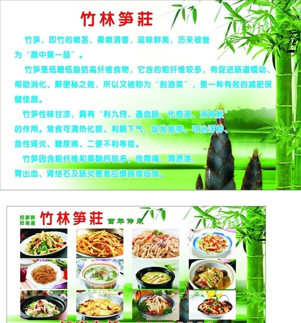 各式筍菜竹筍簡介圖片