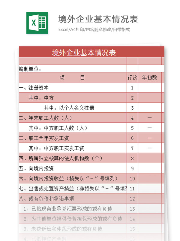 境外企業(yè)基本情況表excel模板