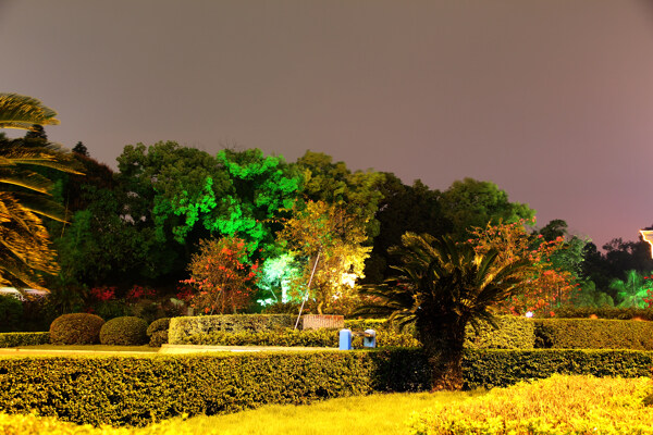 公園夜景圖片