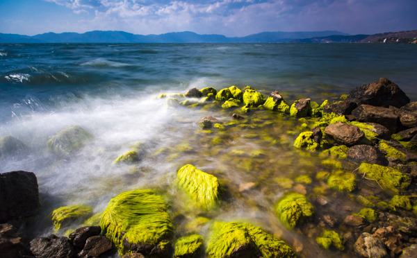 云南撫仙湖風(fēng)景