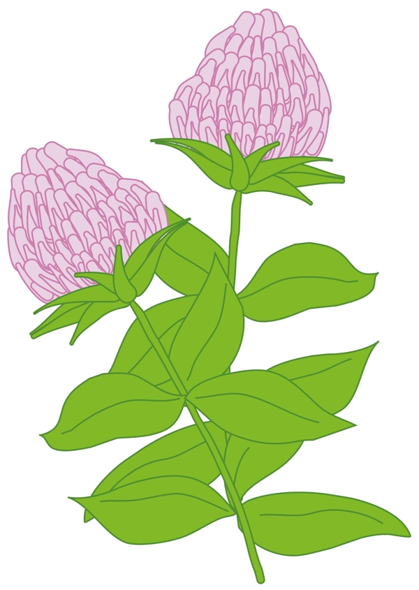 花朵花草鮮花矢量EPS格式0922