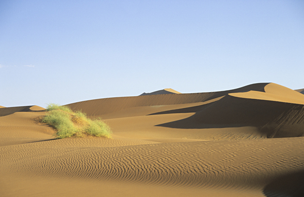 蓝天下的大沙漠风光图片