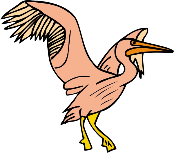 各種鳥類鳥動物矢量素材EPS格式0562