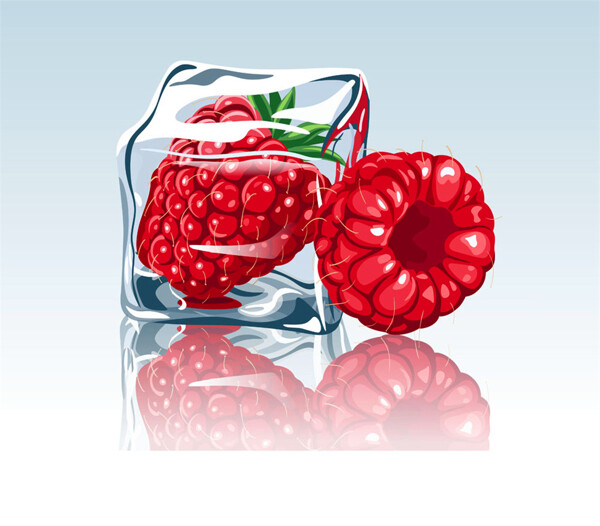 冰冻的山莓图片