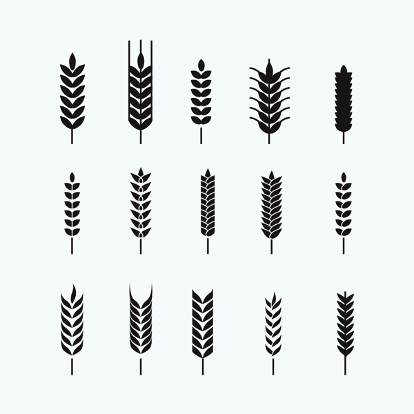 15款黑色小麦合集插画设计