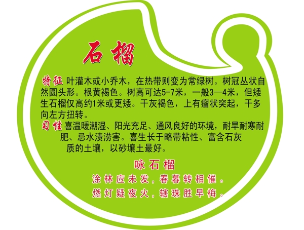 小樹牌圖片