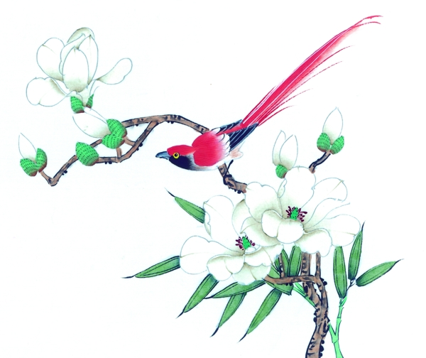 國畫花鳥