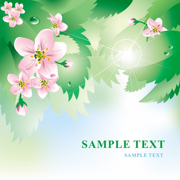歐美花紋138矢量CDR