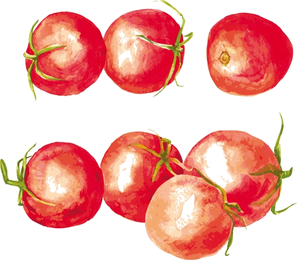 手绘水彩红色西红柿矢量素材