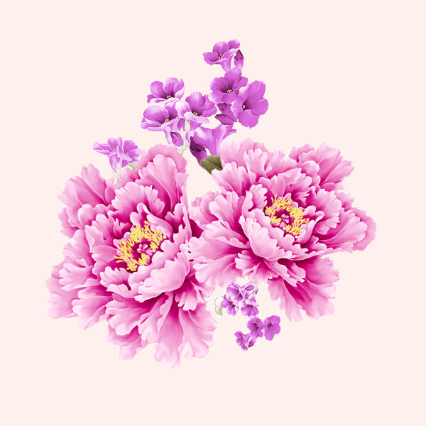 手繪花圖片