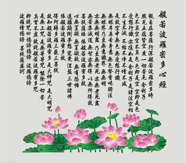 荷花圖片