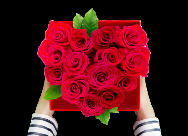 红色心形玫瑰花装饰素材