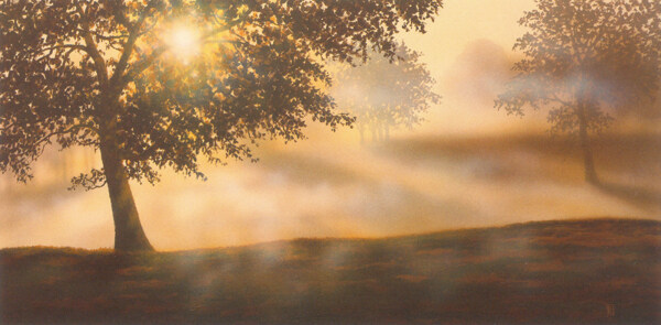 树与阳光油画图片
