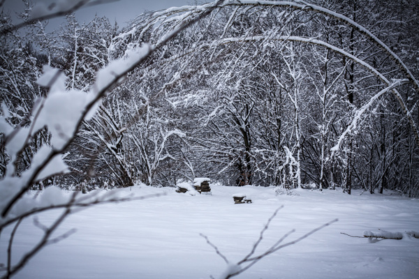 雪地风景摄影图片