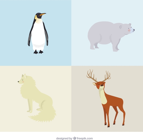 北极动物的种类