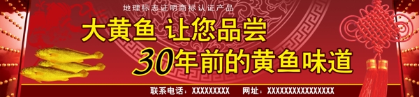 黃魚宣傳展板圖片