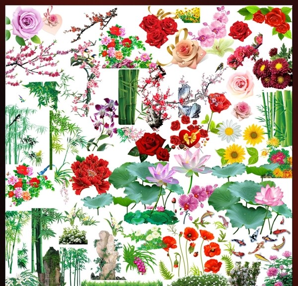 PSD设计专用传统花卉素材集图片