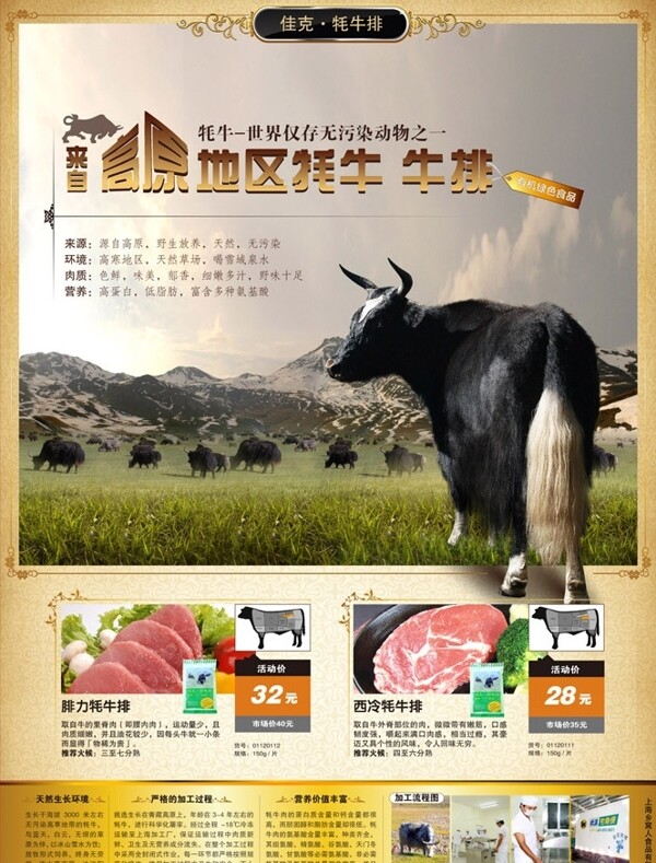 高原牦牛排广告版面图片
