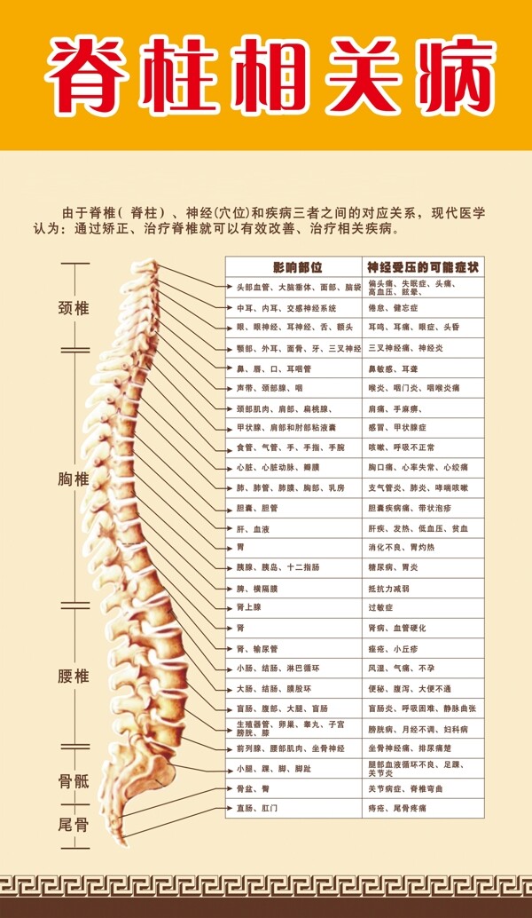 脊柱相關(guān)病