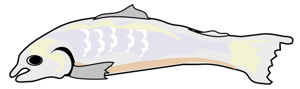 魚類食物