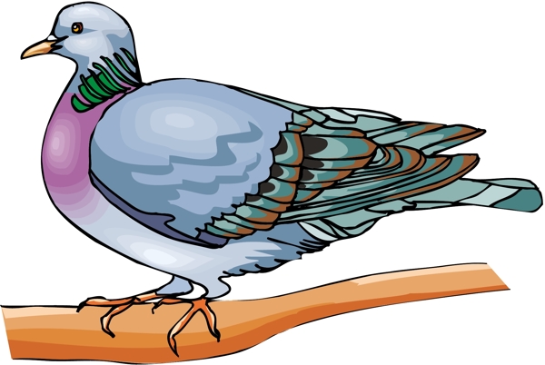 各種鳥類鳥動物矢量素材EPS格式1593