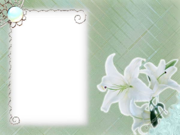 白色花卉浅绿色边框免抠psd透明素材