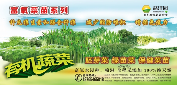 益灃園有機(jī)蔬菜