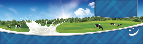 電商牛奶背景banner