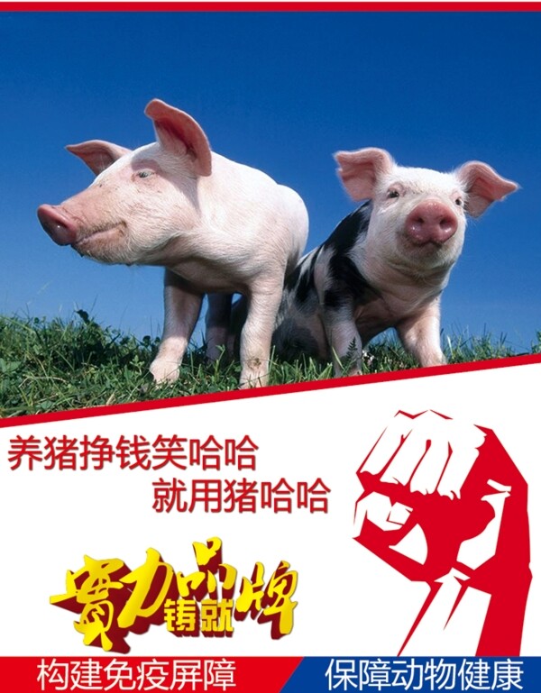 猪饲料海报