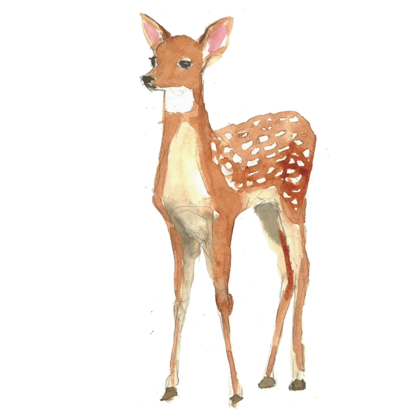 手绘水彩森林鹿麋鹿素材