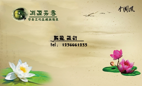 荷花盛宴