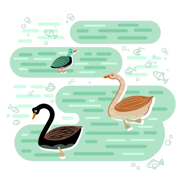 春天春分动物鸭子黑天鹅绿水湖水面小清新